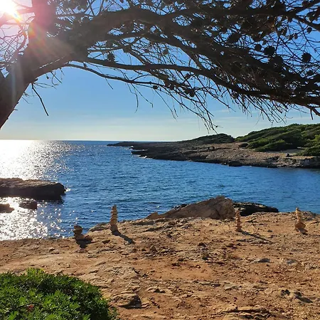 Apartament Corte Regina *